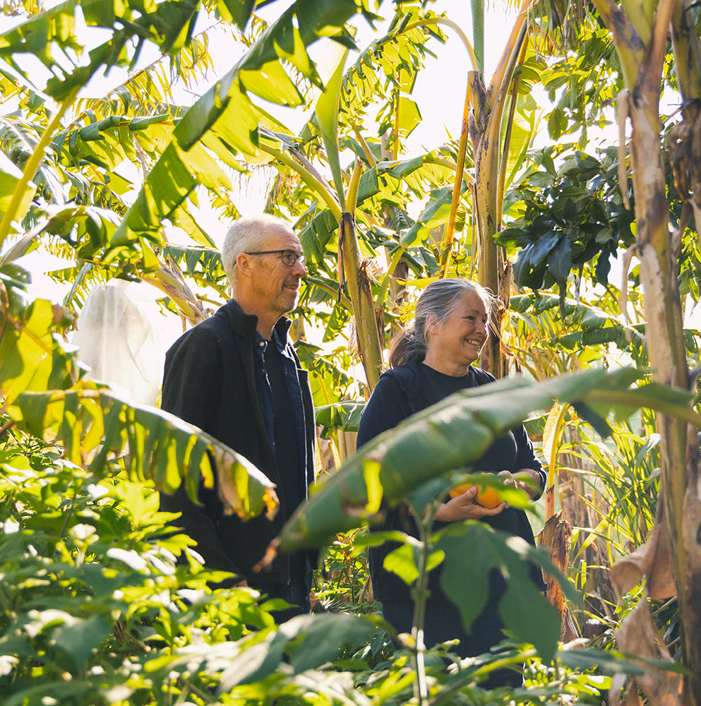 Farm Tour