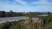 Farm Stay & Farm Tour