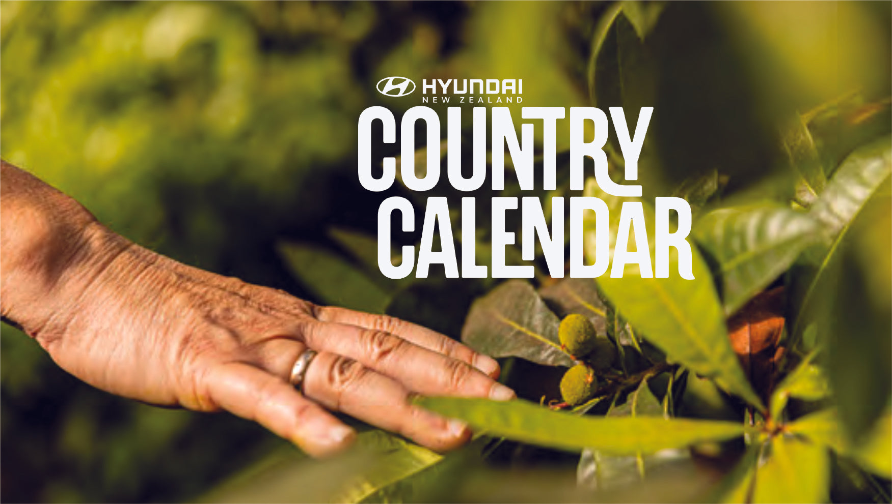 Country_990_1750.jpg