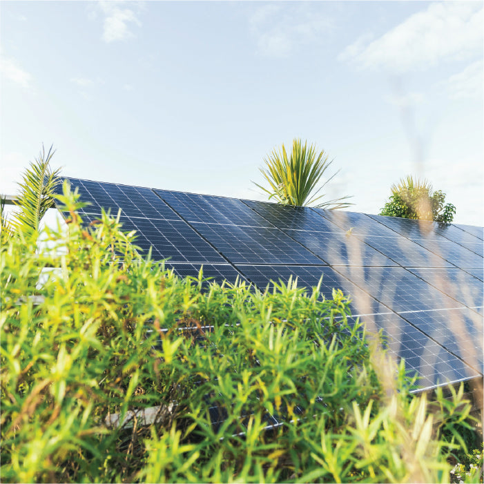 Solar_700.jpg